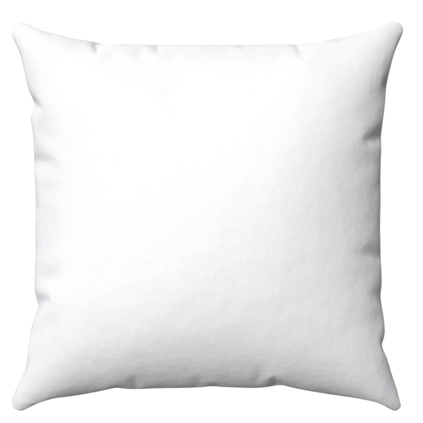 Customize - Pillow (20x20)