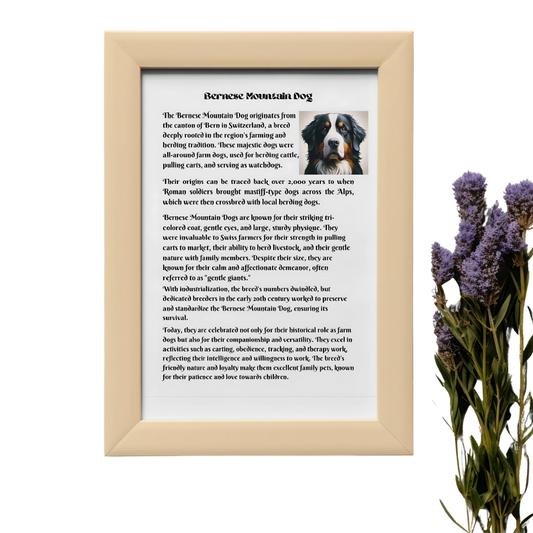 Dog History Gift Bundle Wall Art